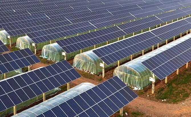 စိုက်ပျိုးရေး Photovoltaic ဖြေရှင်းချက်