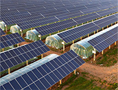 စိုက်ပျိုးရေး Photovoltaic ဖြေရှင်းချက်