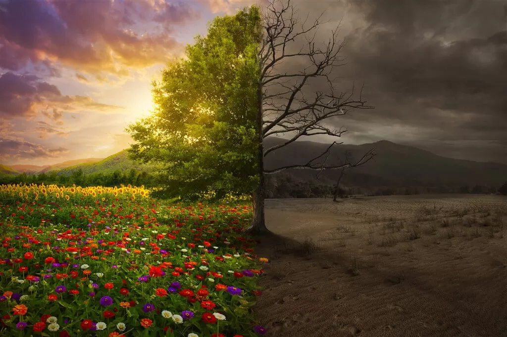 အတိုးနှုန်းများသည် သန့်ရှင်းသောစွမ်းအင်၏အနာဂတ်ကို ပုံဖော်ပုံ